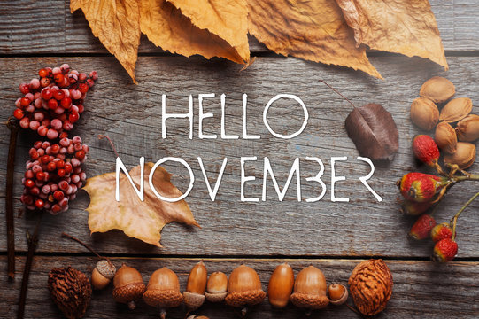 SIS Nov Newsletter